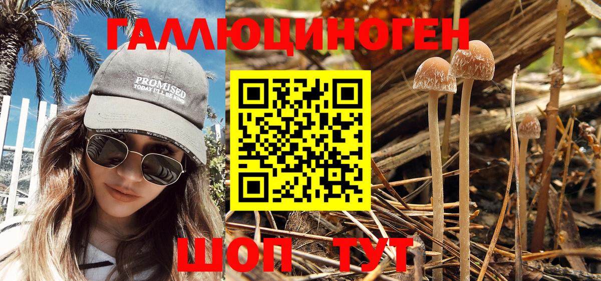 Псилоцибиновые грибы Cubensis  Галлюциногенные грибы MAGIC MUSHROOMS  Вход с VPN  где купить наркоту  Лесозаводск 