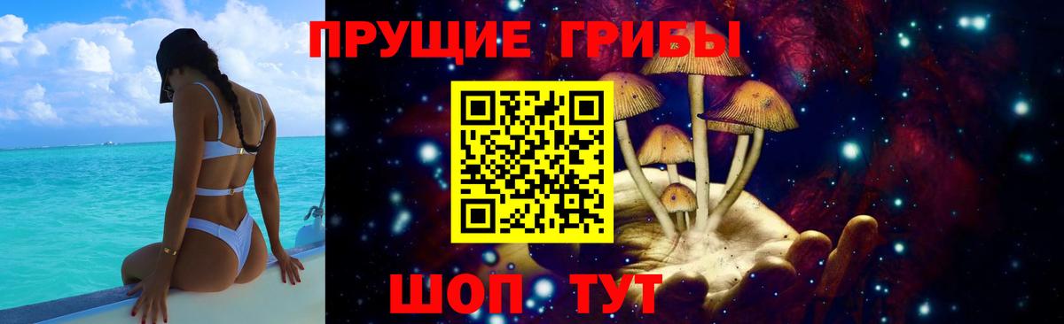 Псилоцибиновые грибы Psilocybine cubensis Лесозаводск